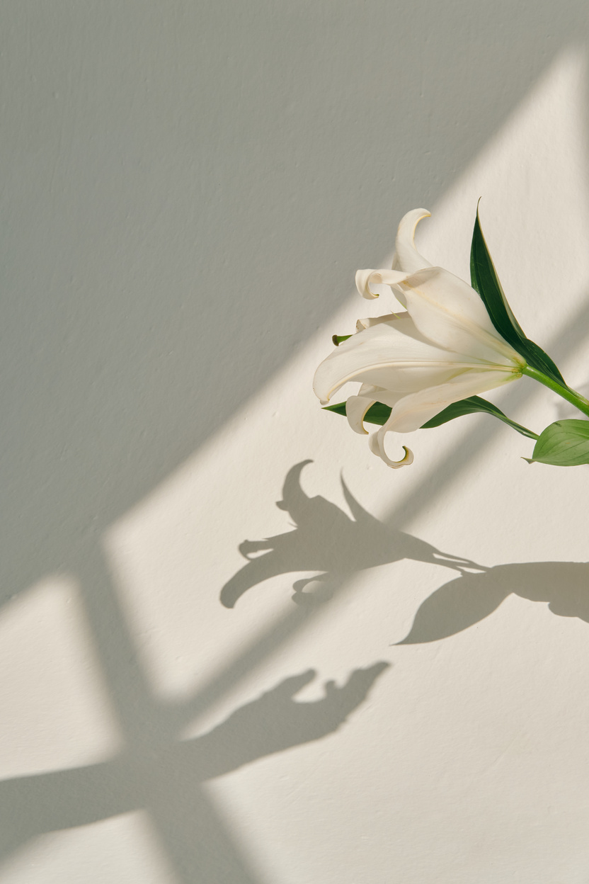 Mindfulness Practices Handing Flowers to Person